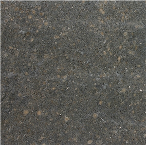 San Vicente Limestone Slabs, Spain Black Limestone