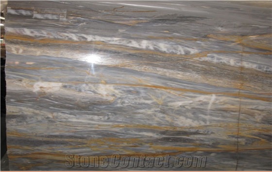 Grey and Gold Marble Orazia Gold