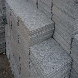 Brazil Cinza Prata Granite Tile(good Price)