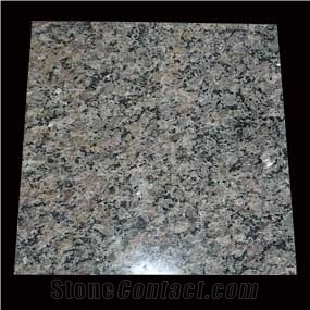 Canada Polychrome Granite Tile(low Price)