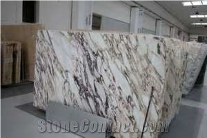 Italy Breccia Capraia Marble Slab