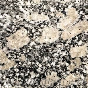 Italy Serizzo Ghiandone Granite Tile(low Price)