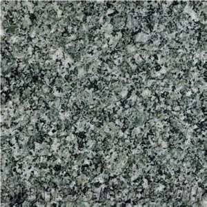 Italy Verde Mergozzo Granite Tile(low Price)
