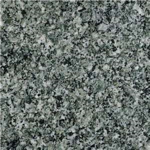 Italy Verde Mergozzo Granite Tile(low Price)
