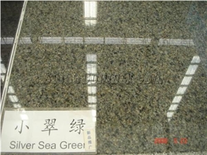 Polished Silver Sea Green Granite Slab