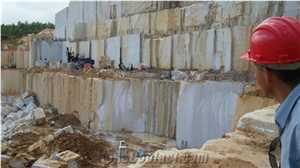 Branco Siena Granite Block, Brazil White Granite