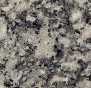 Gris Perla Salto Granite Slabs, Argentina Grey Granite