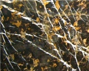 Michelangelo Marble Tiles, Black Gold Marble