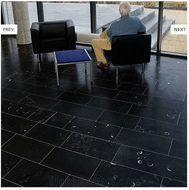 Kilkenny Black Fossil Floor Tiles, Black Limestone Floor Tiles