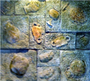 Cultured Stone