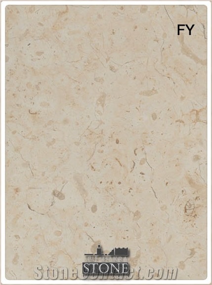 Jerusalem Bone Beige Limestone Flooring, Walling, Beige Israel Limestone Tiles & Slabs