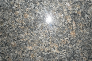 Popular Caledonia Granite Slab