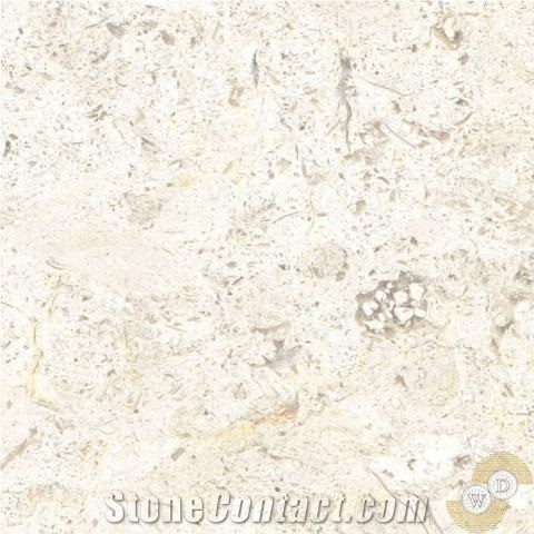 Jerusalem Cream Limestone Slabs, Palestine Beige Limestone
