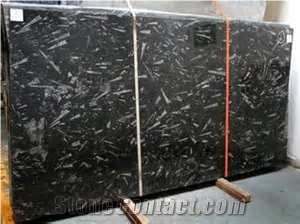 Polished Fossil Black Marble Slab(good Price)