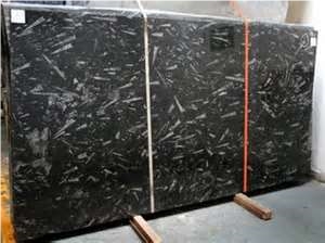 Polished Fossil Black Marble Slab(good Price)
