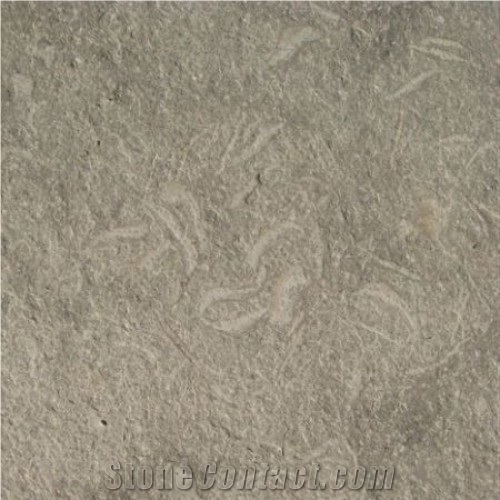 Sea Grass Lime Stone Brushed & Flamed 24x24, SeaGrass Limestone Slabs