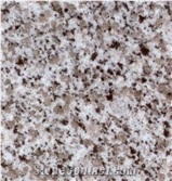 G640 Granite Slabs & Tiles,China Grey Sardo Granite,G640 Grey Granite Slabs for Walling,Flooring,Countertop, China Grey Granite