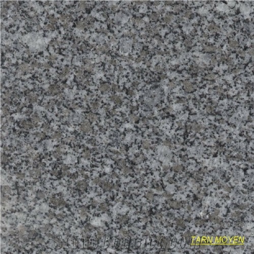 Tarn Moyen Fonce Granite Slabs, France Grey Granite