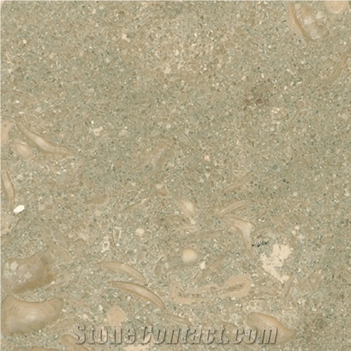 Seagrass Limestone Rustic Green Elite