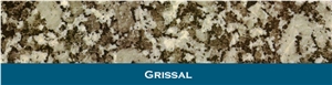Grissal Granite Tiles, Spain Grey Granite