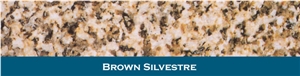 Silvestre Moreno Granite Tiles, Spain Yellow Granite