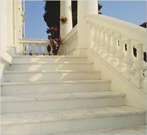 Thala Beige Coquillage Limestone Stairs & Steps, Stair Risers