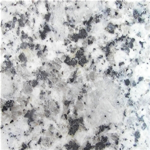 Big Flower White Granite Slab, Gujarat White Granite Tiles