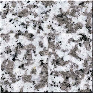 Big White Flower Granite Slab
