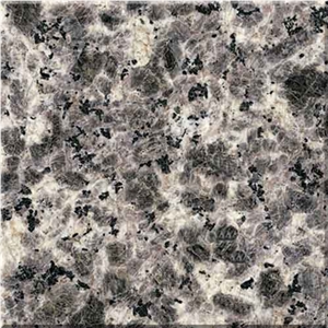 Leopard Skin Granite Tiles