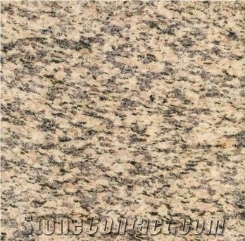 Natural Tiger Sink Yellow Granite Tile for Floor, China Yellow Granite Stone Direct from Factory, Big Quantity Provider