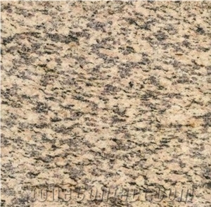 Natural Tiger Sink Yellow Granite Tile for Floor, China Yellow Granite Stone Direct from Factory, Big Quantity Provider