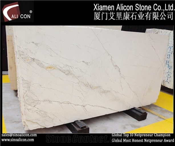 Bianco Picasso Marble Slabs, China White Marble
