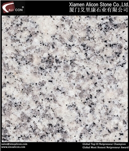 Granite Slabs G602 (Good Price)