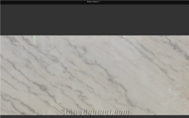 Bianco Spino Marble Slabs, Italy White Marble