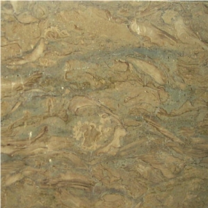 Natural Fossil Marble