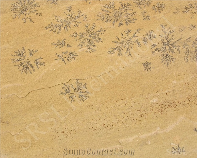 Fossil Mint Yellow Tile, Fossil Mint Yellow Sandstone Tiles & Slabs