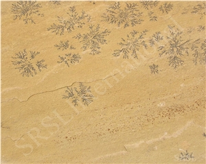 Fossil Mint Yellow Tile, Fossil Mint Yellow Sandstone Tiles & Slabs