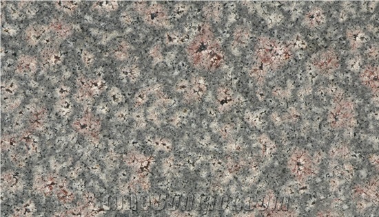 Bala Flower Granite Tiles, India Brown Granite