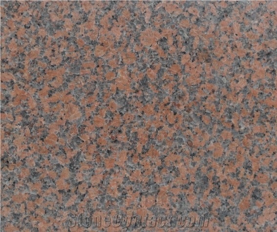 Maple Red Granite Slabs & Tiles, G562 Granite, China Red Granite for Flooing, Walling, Countertop, Stairs