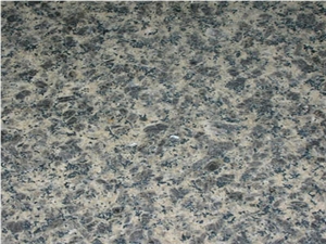 Leopard Pearl, Leopard Skin Granite Tiles