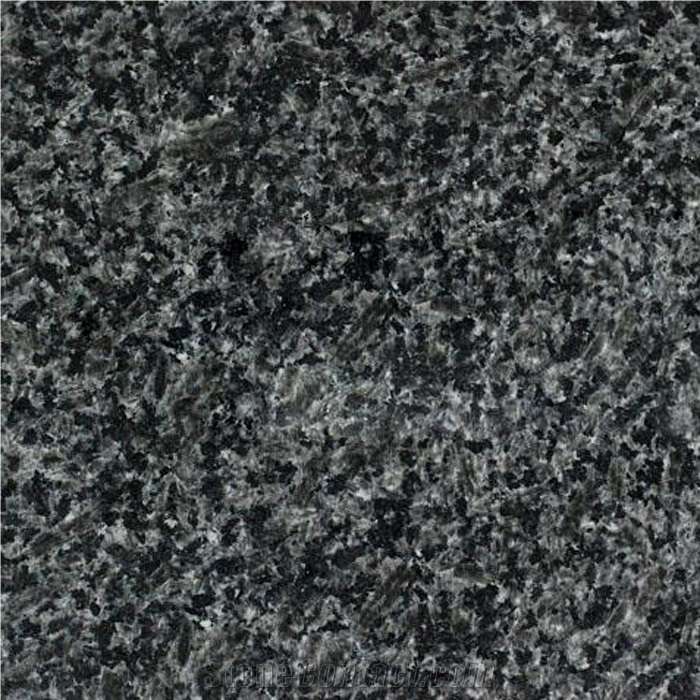 Black Ice Dapple, China Black Granite Slabs & Tiles
