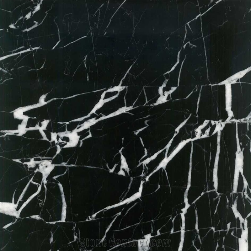 Black White-Veins Coarse Marble