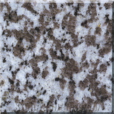 G439 Big White Flower Granite Tiles, China White Granite