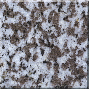 G439 Big White Flower Granite Tiles, China White Granite