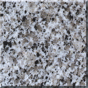 G640 White Leapord Granite Tiles, China Grey Granite
