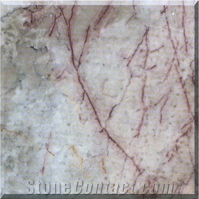 Natural Stone Slabs/Tiles Cream Jade Marble