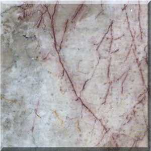 Natural Stone Slabs/Tiles Cream Jade Marble