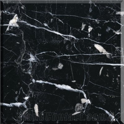Nero Marquina Marble Tile& Slabs , Elegant Black and White Marble Tile Interior