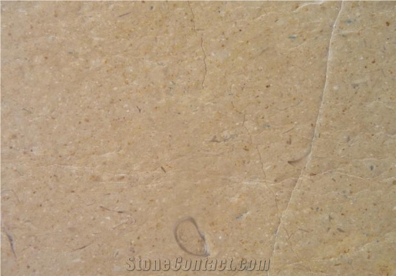 Crema Cenia Limestone Slabs, Spain Beige Limestone