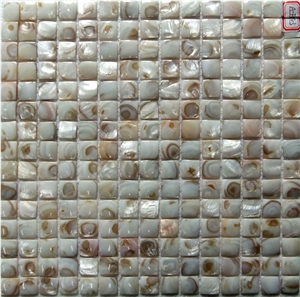 Shell Mosaic